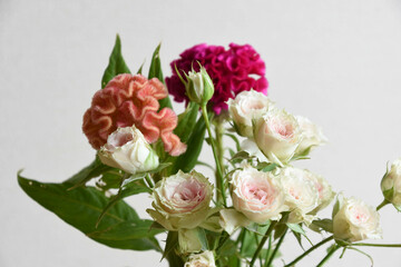 薔薇とケイトウ