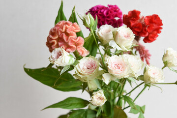 薔薇とケイトウ