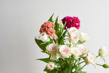 薔薇とケイトウ