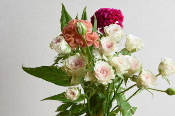 薔薇とケイトウ