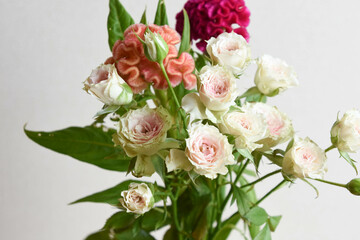 ケイトウとばら