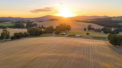 Fototapeta premium Stunning Sunset Over Rolling Hills and Golden Fields: A Serene Landscape of Tranquility and Natural Beauty in Rural Australia