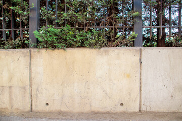 concrete garden wall and metal fence  with tree green leaves