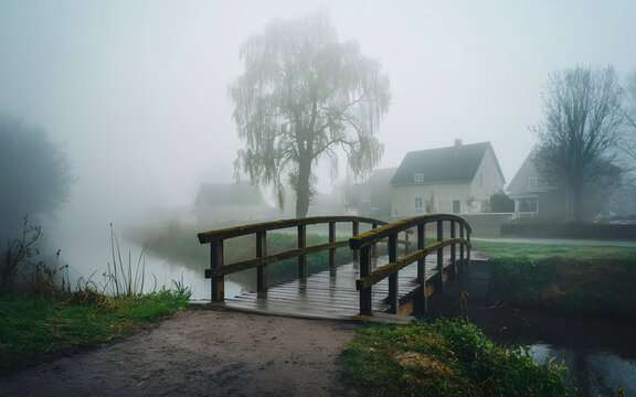 misty morning on the river