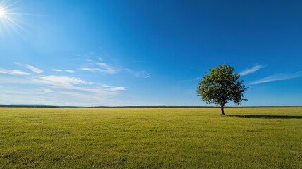 Lone tree on vast green field under blue sky