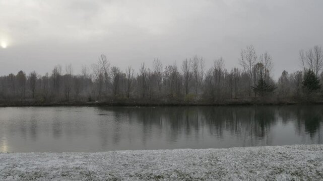 Birds on a lake during a snow flurry