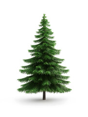Obraz premium Evergreen fir tree isolated on white background