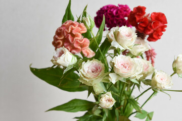 薔薇とケイトウ