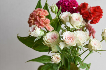 薔薇とケイトウ
