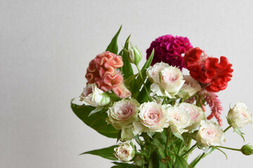 薔薇とケイトウ