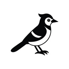 Cute Blue Jay Vector Illustration on White Background

