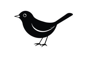"A Cute Blackbird Vector Illustration"

