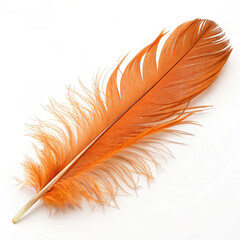 Fototapeta premium Beautiful Orange Bird Feather, Gracefully Isolated on a White Background, Showcasing Its Soft Texture and Vibrant Color.