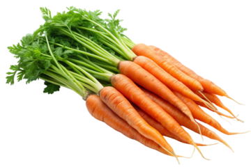 Carrots Boost Health and Immune System.png
