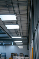 Ceiling of production room with panel lighting, rows of industrial ceiling luminaires, lighting