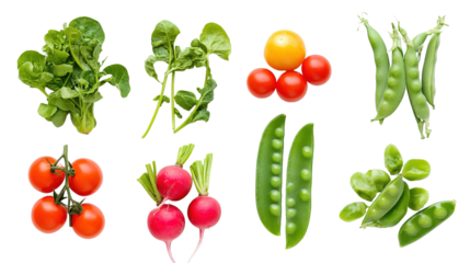 Isolate a colorful collection of vibrant vegetables fresh market food photography natural light close-up healthy eating