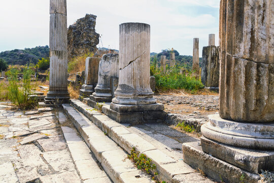 Ancient columns and steps at the propylon of Magnesia on the Maeander, surrounded by ruins and vegetation under a bright, clear sky. Aydin, Turkey (Turkiye)