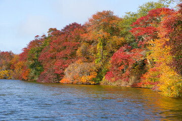 Obraz premium Lake in the Hamptons, fall foliage