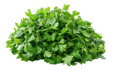 Obraz premium A bunch of fresh green parsley is piled on top of itself. The parsley is fresh and green, and it looks like it's been recently picked