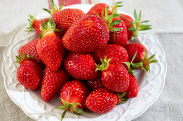 Plate with french organic red ripe sweet strawberries Fraises de Plougastel, harvested in France