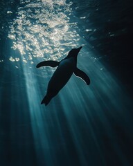 Graceful Penguin Swimming in Clear Blue Aquarium Water
