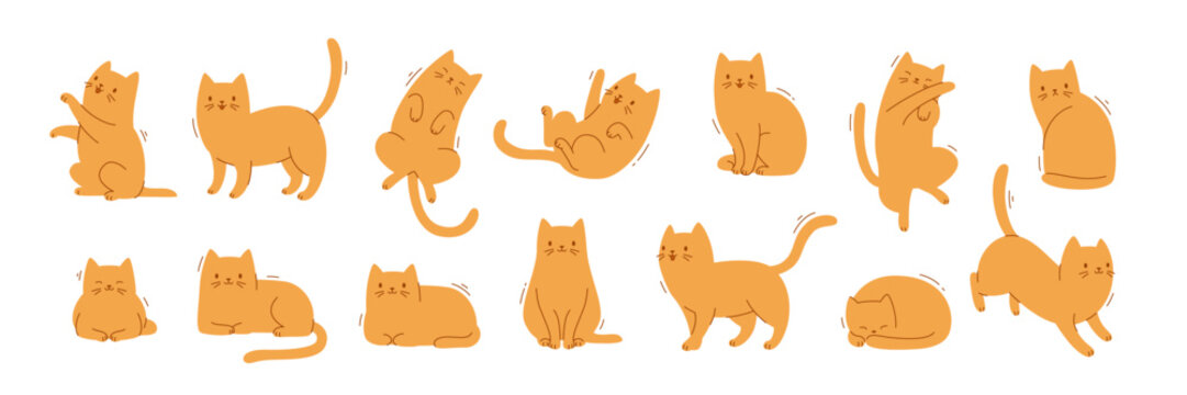 Flat cat poses set. Cartoon kitten poses collection. Different vector cat poses bundle.