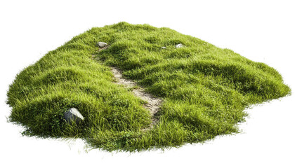 green, grassy hill with a dirt path, isolated on a white background.