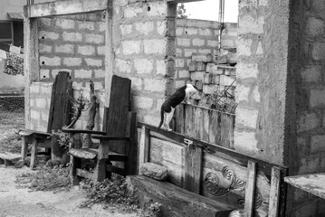 vue d'une rue dans l'&icirc;le de Gor&eacute;e au large de Dakar au S&eacute;n&eacute;gal en Afrique de l'Ouest