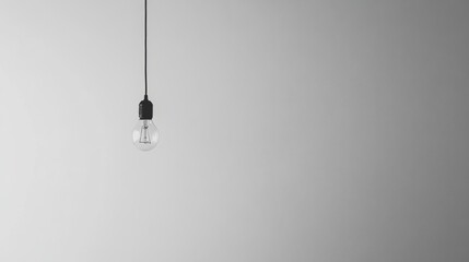 A lone light bulb with an exposed filament, hanging in a minimalist style, suspended on a clean white canvas