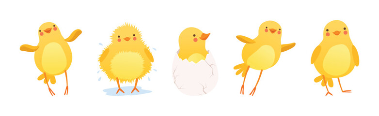 Funny Yellow Chicken Engaged in Different Activity Vector Set