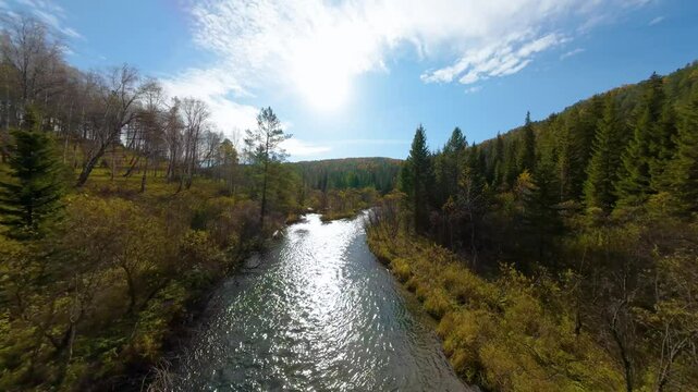 Aerial photography with a drone flying over a river in a national park, glare from the sun