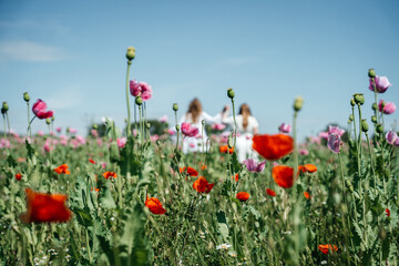 Naklejka premium Two girls in white dresses embrace from behind, standing in a field of pink poppies gently swaying in the wind. A high-quality photo capturing the warmth and serenity of the moment amidst the vibrant 