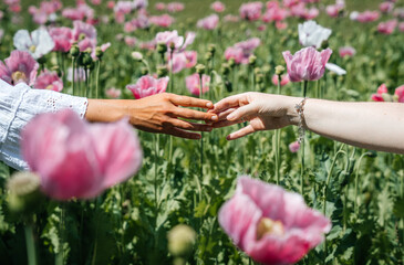 Two women's hands meet in a gentle touch, fingertips lightly brushing against each other amidst a...