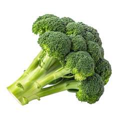 broccoli isolated on white background
