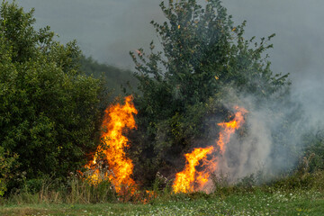 Vegetation fire. Photo during a summer rainy day with a fire started in vegetation in order to clean the land field or to burn garbage. Danger for the environment. © Dragoș Asaftei