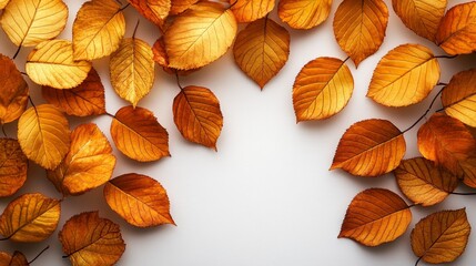 Fototapeta premium Various golden leaves create a beautiful arrangement, showcasing the charm of autumn