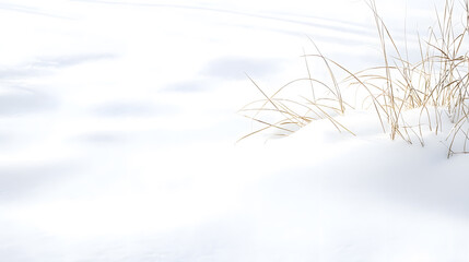Snowy ground background