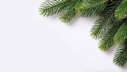 Obraz premium Christmas tree branch on corner border, pine branch on white background