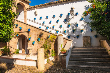 White houses with blue flower pots with flowers on the walls in Cordoba, Andalucia, Spain. Cozy decorated patio or courtyard . Travel destination.