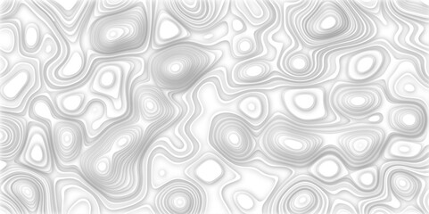 Abstract design with black and white abstract papercut and multi-layer cutout geometric pattern on vector Topographic canyon geometric map relief texture with curved layers beautiful design.	
