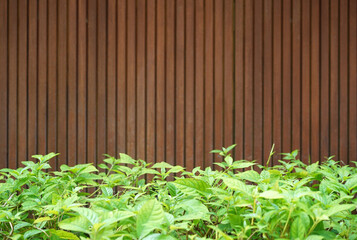 Dark brown wooden wall with groove background with green leaf on foreground., abstract wall texture background.Wall with patterns, space for work, banner, wallpaper, copy space, decoration or design.