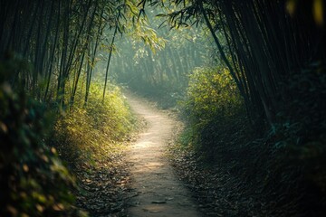 Obraz premium Serene Bamboo Forest Path Winding Through Lush Greenery