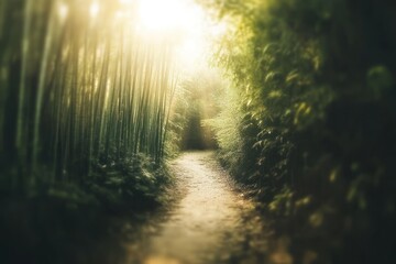 Obraz premium Sunlit Path Through A Bamboo Forest