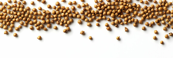 Naklejka premium Photo Coriander Seeds Spice Condiment Aromatic Flavoring Ingredient Food