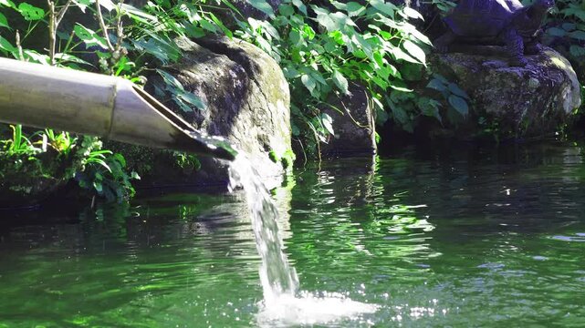 つくばいの水が池に流れる