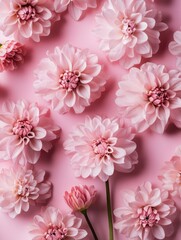 Pink flowers on pink background