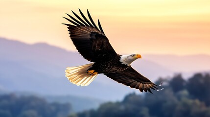Obraz premium Majestic Eagle Soaring High Above Dramatic Mountain Backdrop