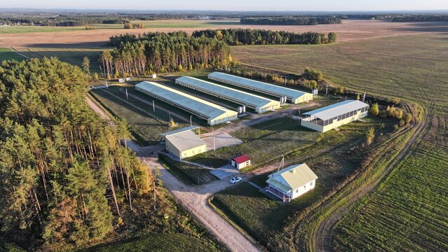 An agricultural enterprise, a farm for raising livestock and poultry (turkeys, chickens) standing in the middle of fields and forests in Europe, America, Australia.
