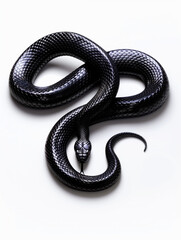 Obraz premium 3D rendering of Detailed Black Snake in a Downward Motion with High Contrast on a White Vector Illustration