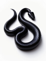 3D rendering of Realistic Black Snake Weaving Downward with High Contrast on a White Vector Background
